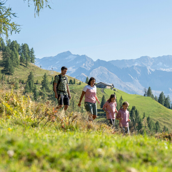 Almlandschaft mit uriger Hütte und grünen Wiesent im Großarltal, Salzburger Land.