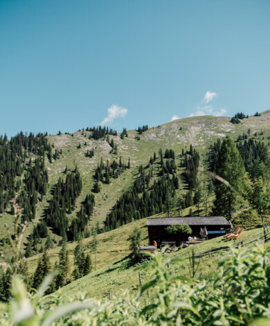 Sommer im Tal der Almen - urige Almhütte in Großarl.