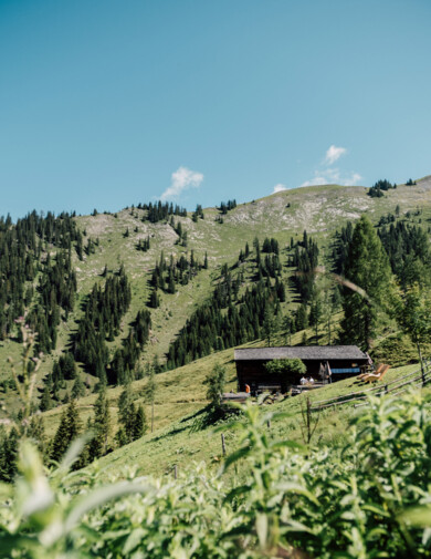 Sommer im Tal der Almen - urige Almhütte in Großarl.