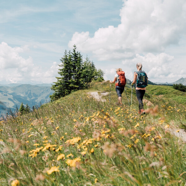 Wanderer auf einem Höhenwanderweg im Sommerurlaub im Hotel Diellehen in Großarl.