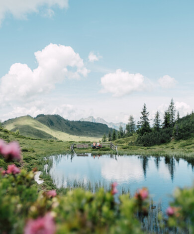 Romantischer Bergsee im Großarltal im Sommer.