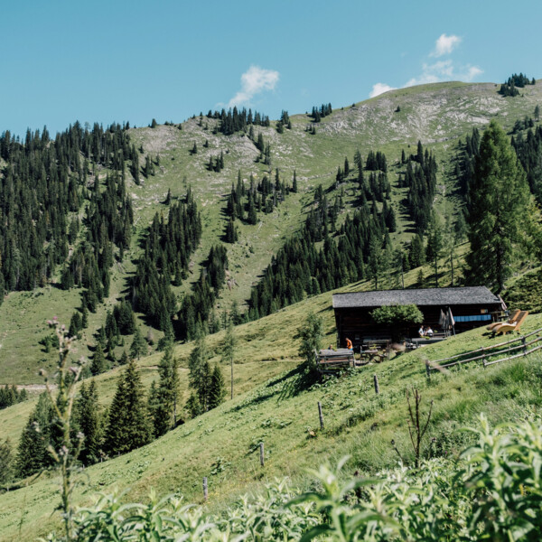 Almlandschaft mit uriger Hütte und grünen Wiesent im Großarltal, Salzburger Land.