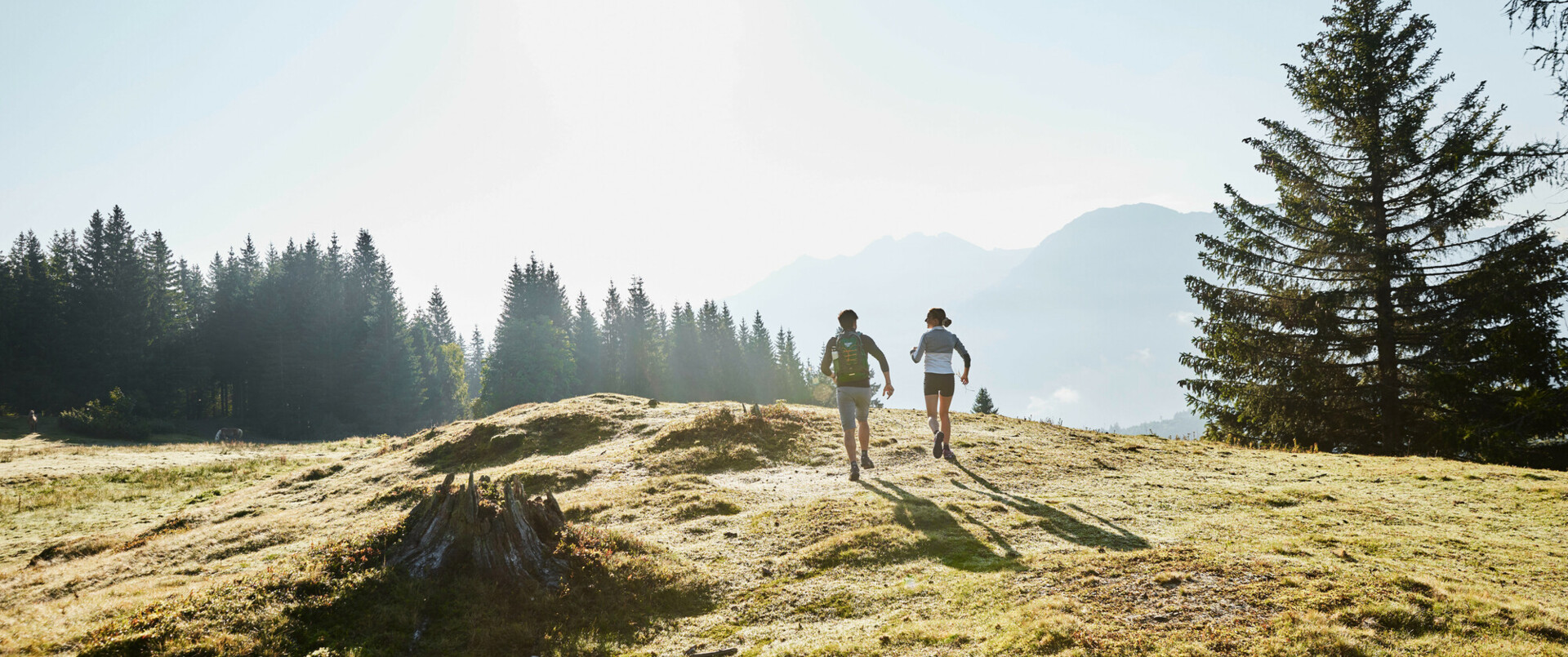 Zwei Wanderer auf einer Alm im Großarltal, Salzburger Land.