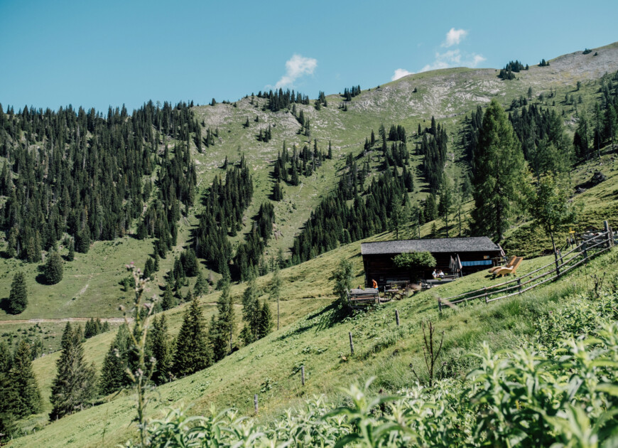 Sommer im Tal der Almen - urige Almhütte in Großarl.