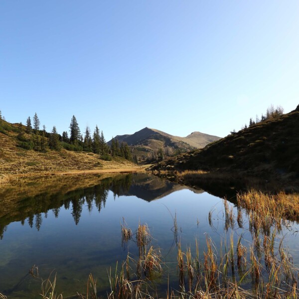 Almlandschaft mit uriger Hütte und grünen Wiesent im Großarltal, Salzburger Land.