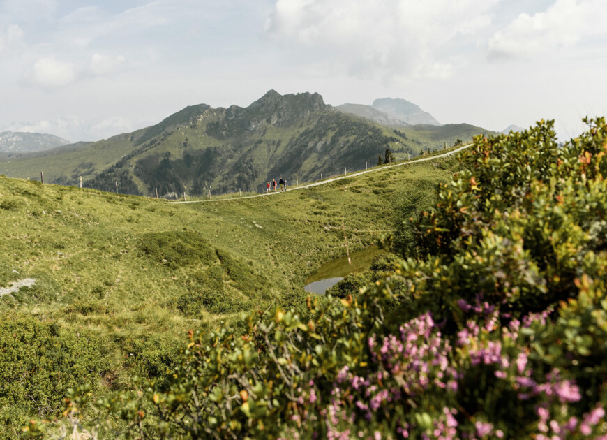 Wanderer beim Berg-Gesund-Programm auf einem Höhenwanderweg im Großarltal.